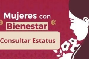 Estatus Mujeres con Bienestar: Qué significa finalizada, concluido y otros