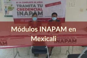 INAPAM Mexicali: Módulos para sacar la credencial para adultos mayores cerca de ti