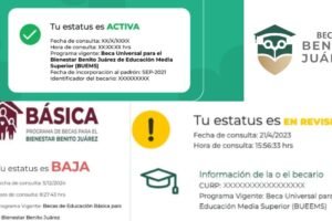 ¿Cómo interpretar los diferentes estatus de Becas Benito Juárez?